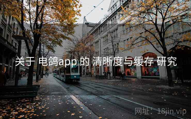 关于 电鸽app 的 清晰度与缓存 研究 关于 电鸽app 的 清晰度与缓存 研究