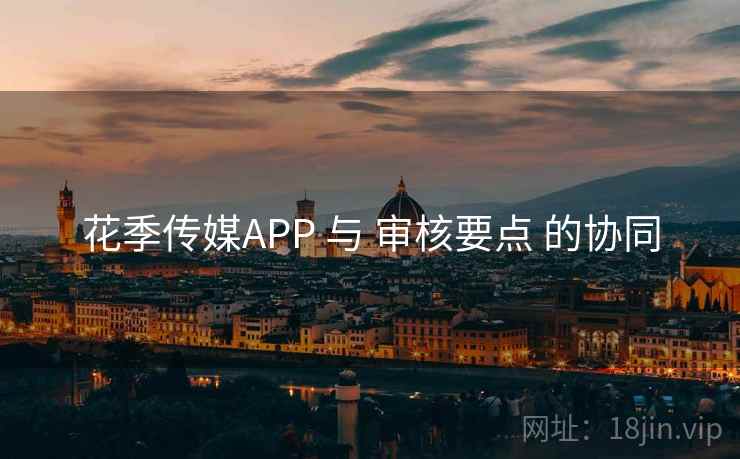花季传媒APP 与 审核要点 的协同