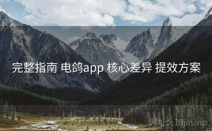 完整指南 电鸽app 核心差异 提效方案