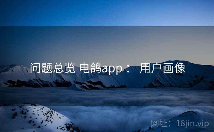 问题总览 电鸽app ： 用户画像