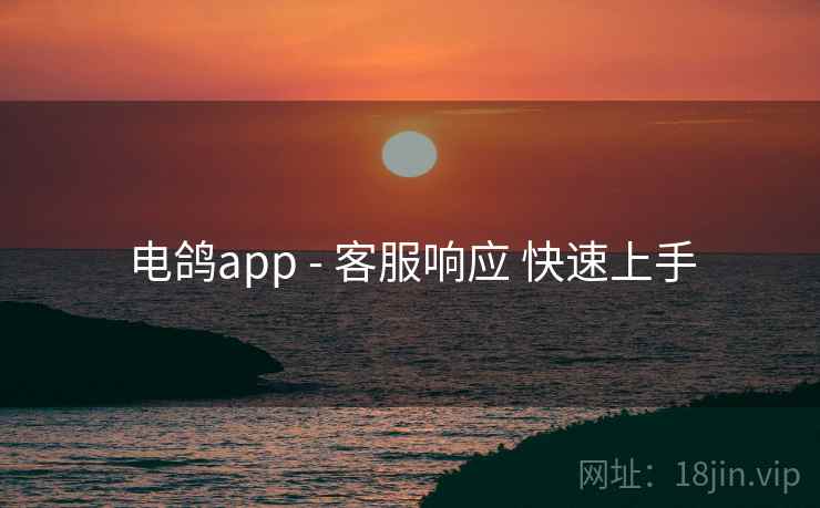 电鸽app - 客服响应 快速上手