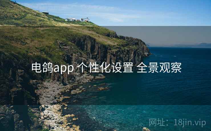 电鸽app 个性化设置 全景观察